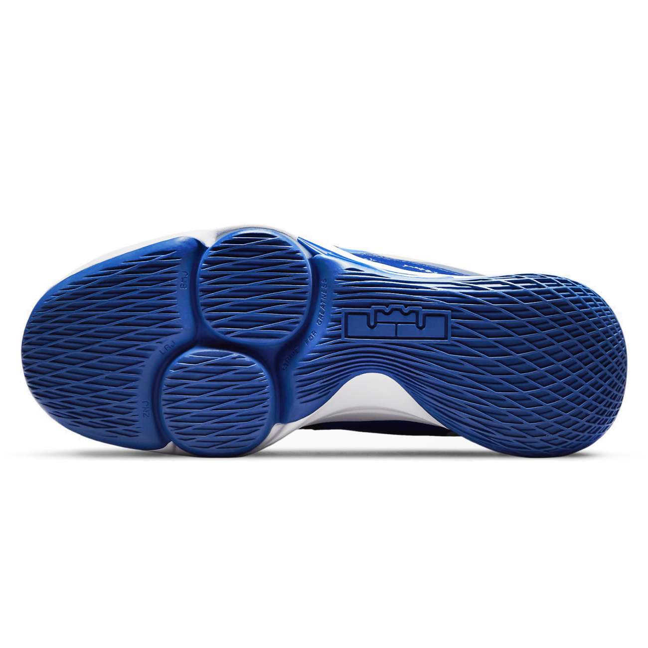 Ripley - NIKE BOTIN PARA HOMBRE LEBRON WITNESS V - AZUL