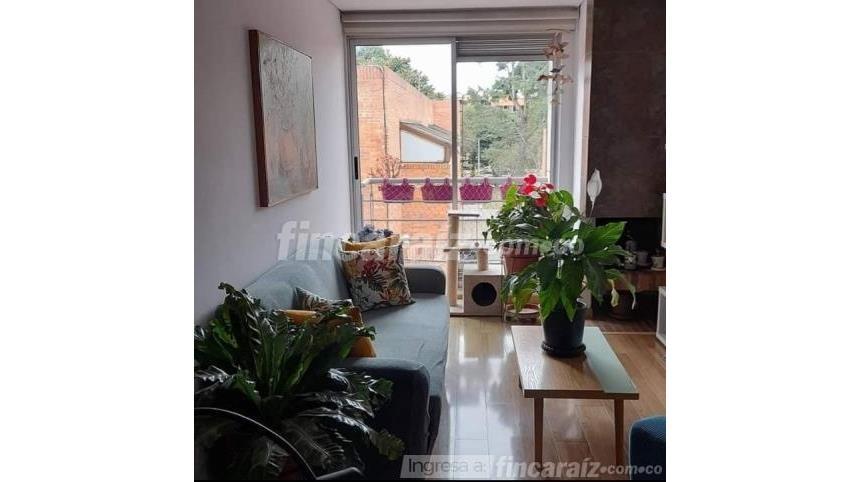 Piso – Bogotá, Los Cedros, Localidad Usaquén - Más
