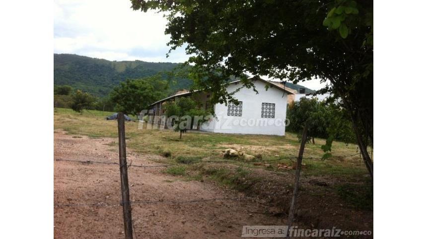 House in Ricaurte - View 2