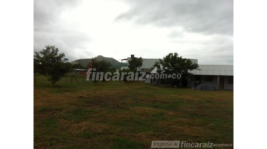 House in Ricaurte - View 3