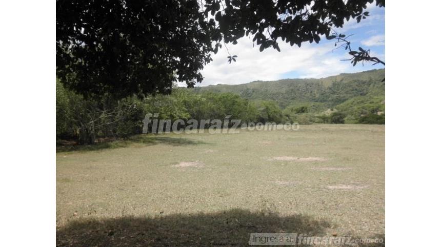 House in Ricaurte - View 4