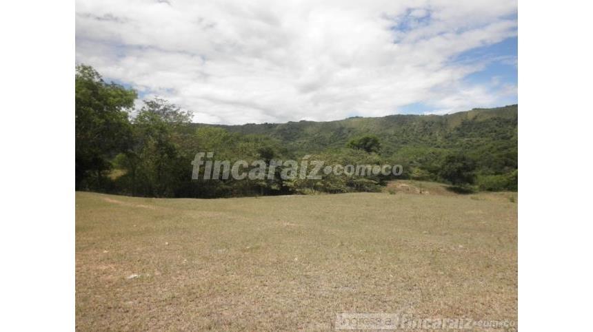 House in Ricaurte - View 5