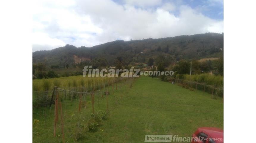 Lote en Venta - Mynd 4