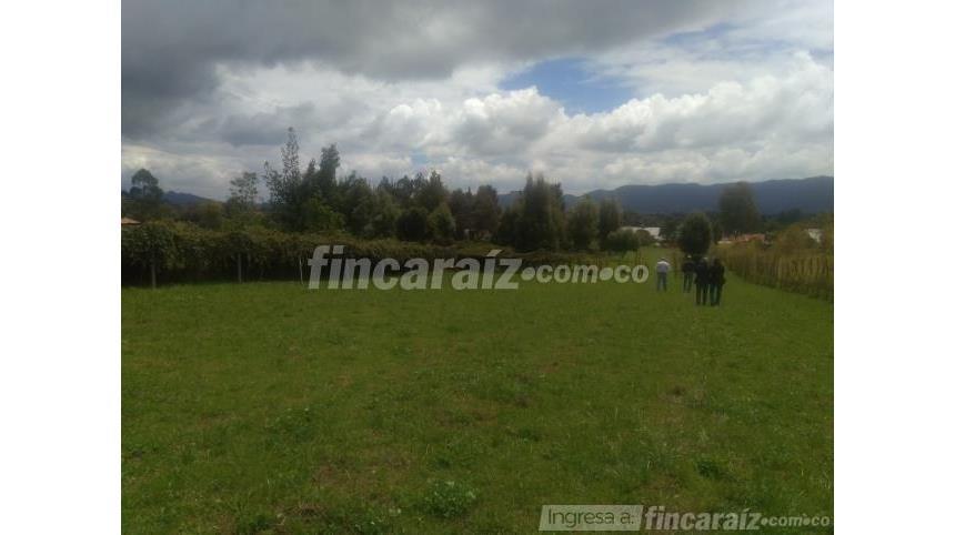 Lote en Venta - Mynd 2