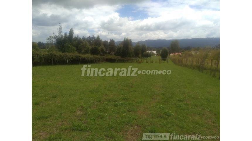 Lote en Venta - Mynd 3