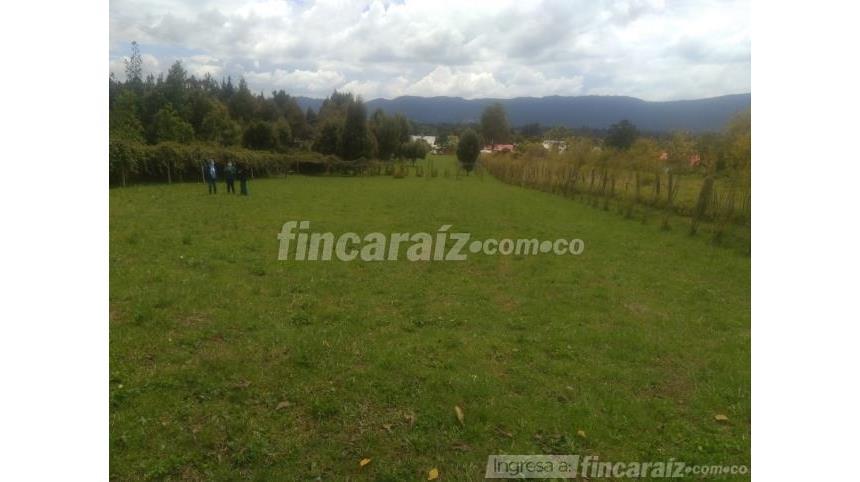 Lote en Venta - Mynd 5