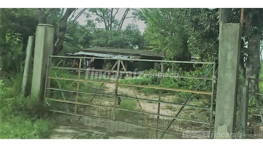 Finca en Venta - Vista 2