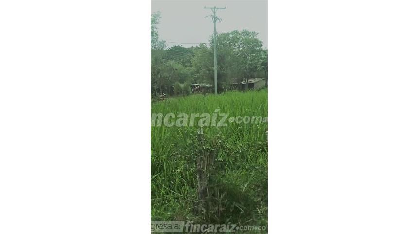 Finca en Venta - Vista 4