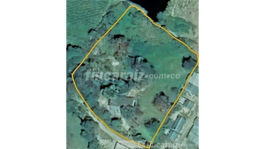 Finca en Venta - Vista 5