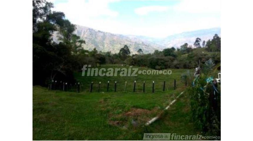Finca en Venta - Vista 6