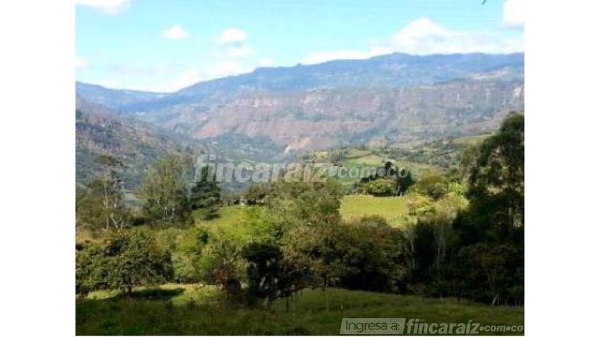 Finca en Venta - Vista 4