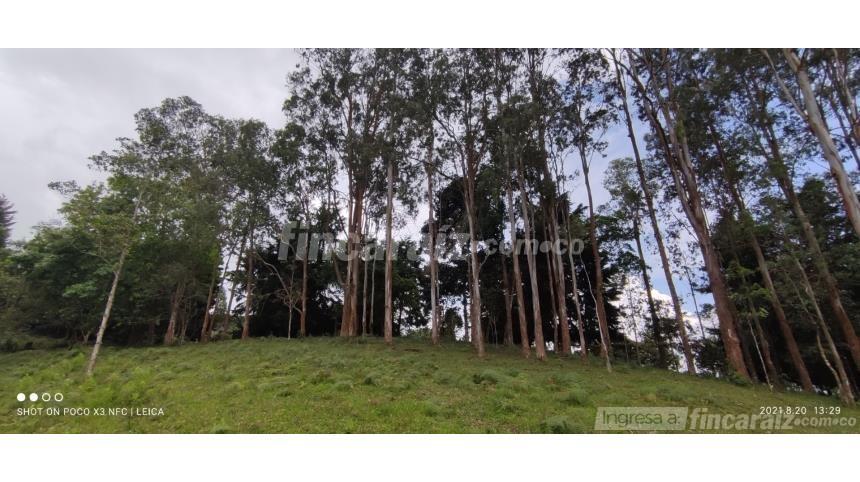 Finca en Venta – pohled 2