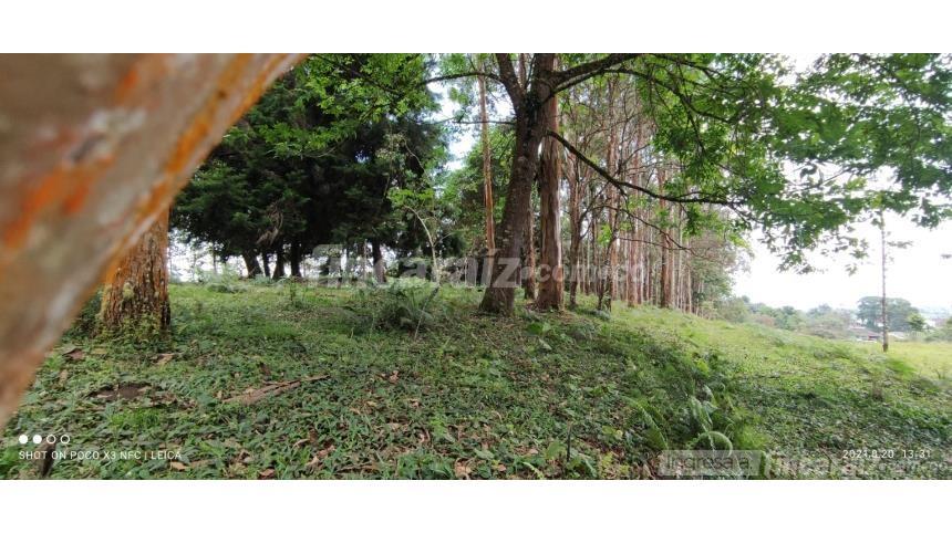 Finca en Venta – pohled 5