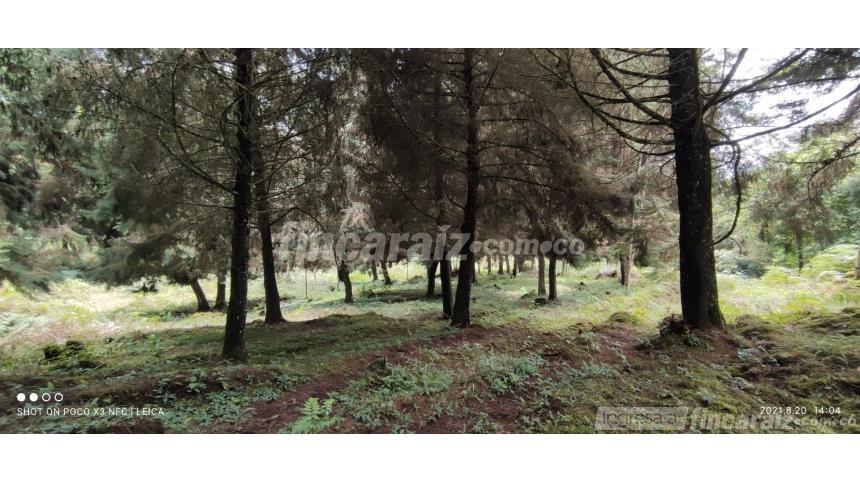 Finca en Venta – pohled 3