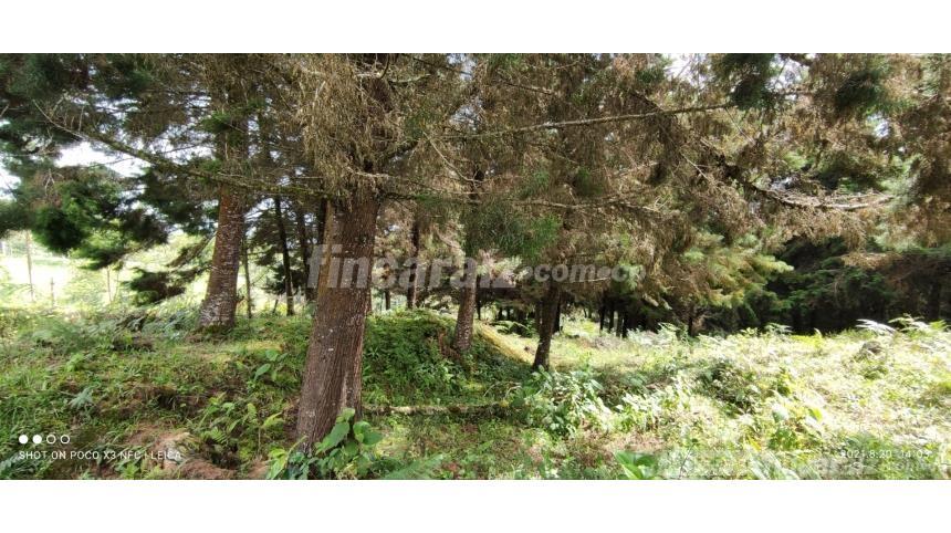 Finca en Venta – pohled 6
