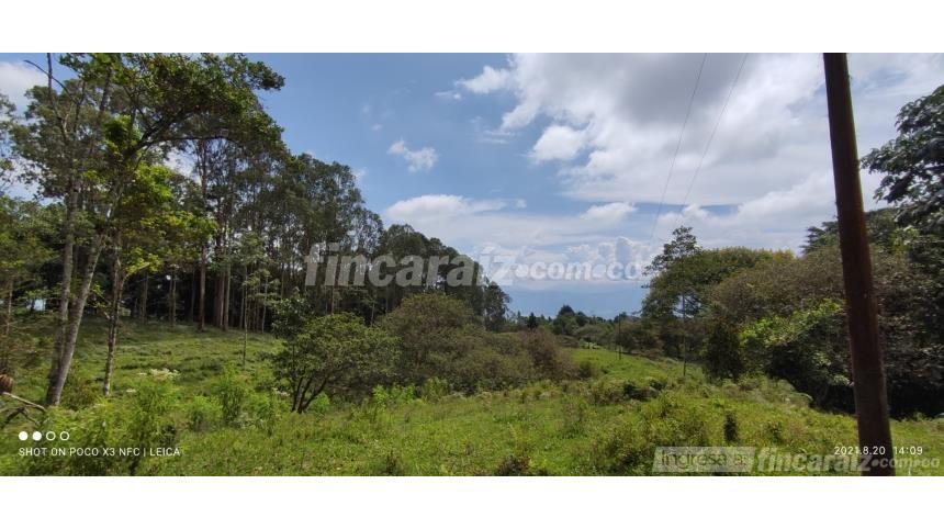 Finca en Venta – další