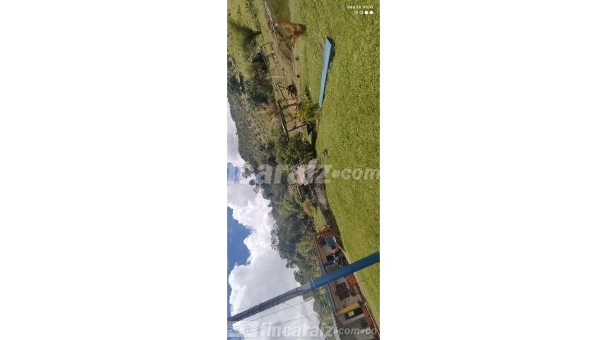Finca en Venta
