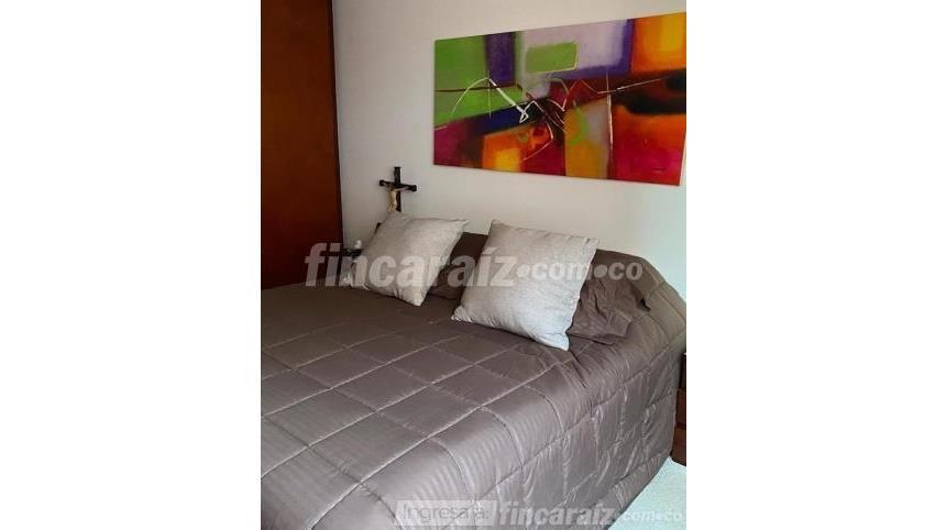 Piso – Bogotá, Pardo Rubio