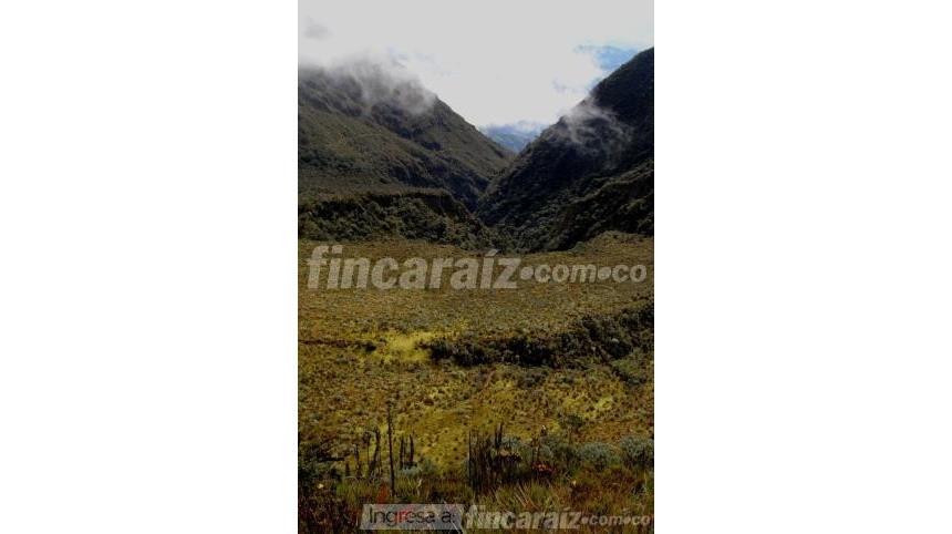 Finca en Venta – pohled 2