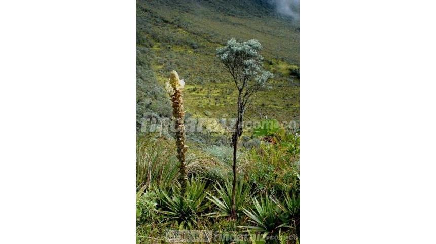 Finca en Venta – pohled 3