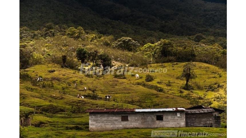Finca en Venta – pohled 6