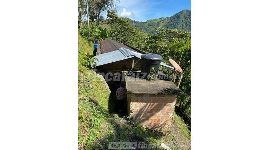 Finca en Venta - Ansicht 2