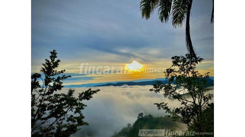 Finca en Venta - Ansicht 3