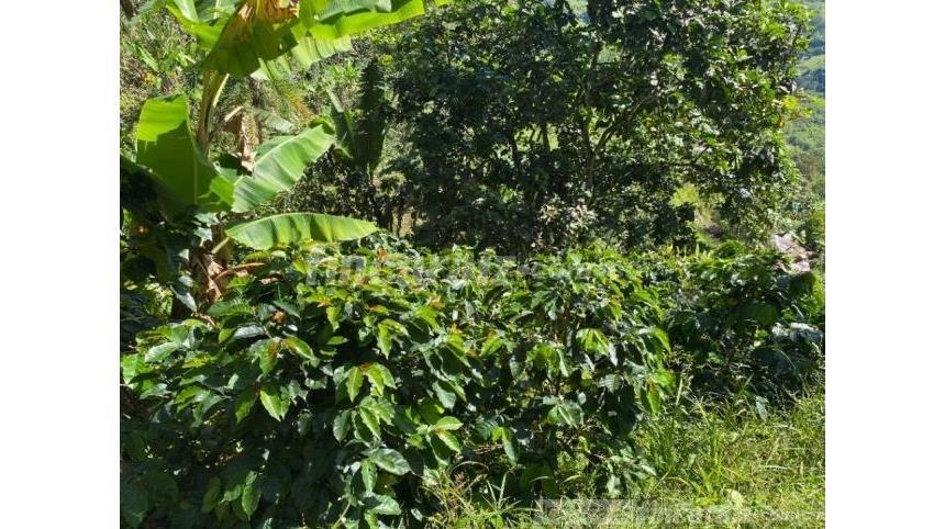 Finca en Venta - Ansicht 4
