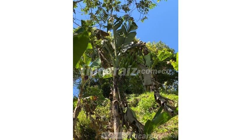 Finca en Venta - Ansicht 6