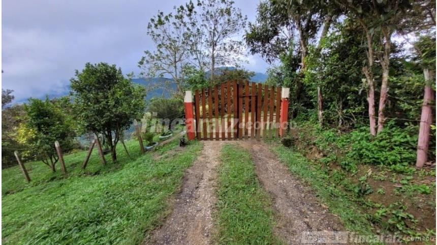 Finca en Venta - Görünüm 4