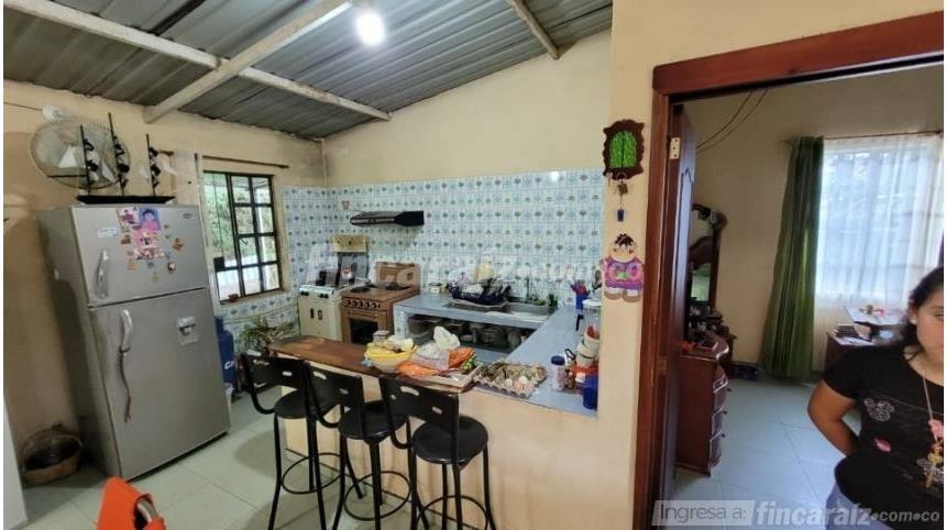 Finca en Venta - Görünüm 6