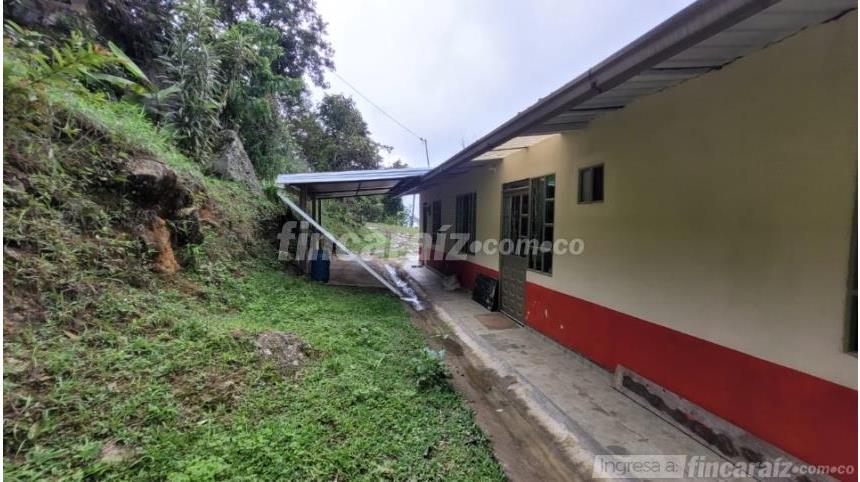 Finca en Venta - Görünüm 2