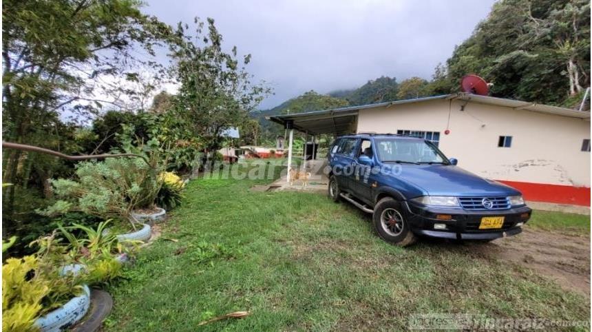 Finca en Venta - Daha fazla