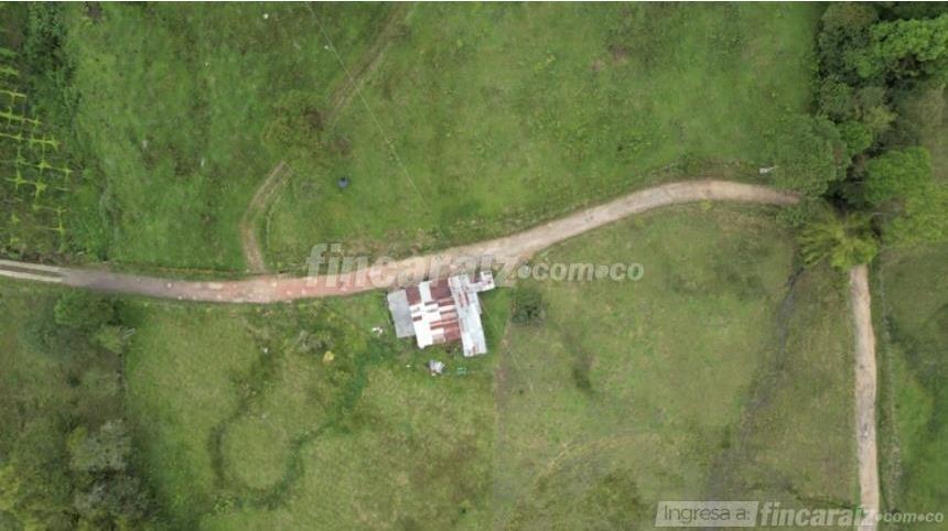 Finca en Venta - Mynd 3