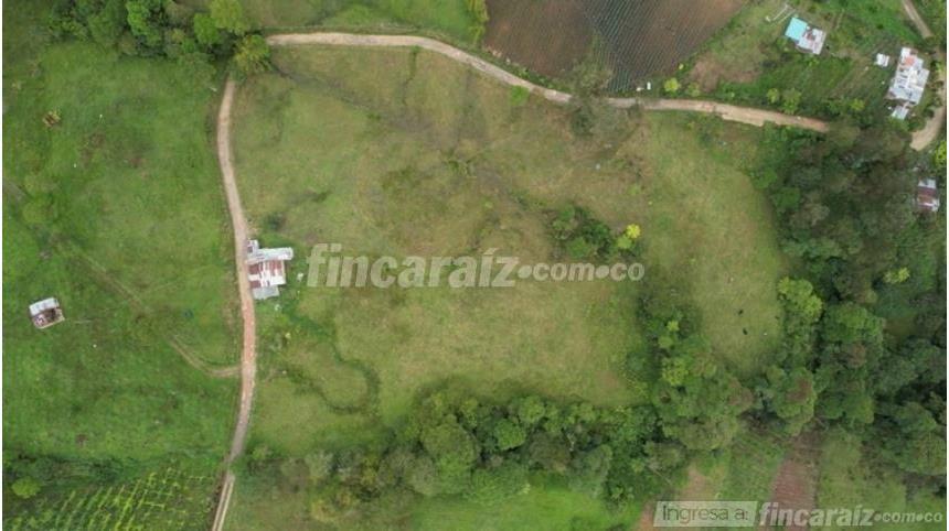 Finca en Venta - Mynd 2