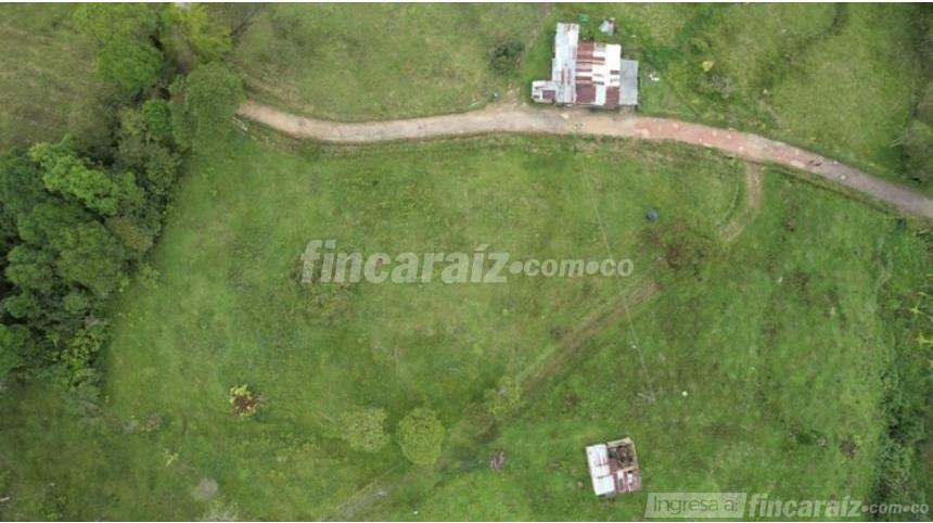 Finca en Venta - Mynd 4