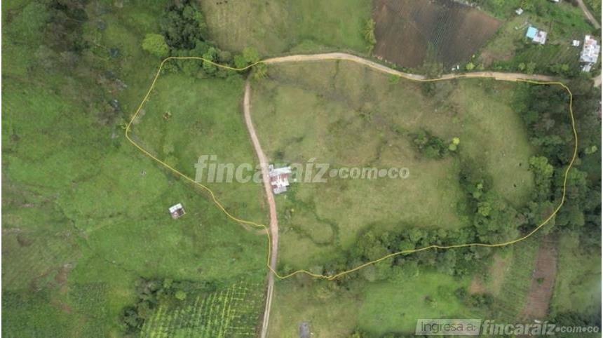 Finca en Venta - Mynd 5