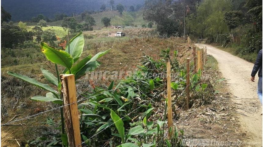 Finca en Venta - Meira