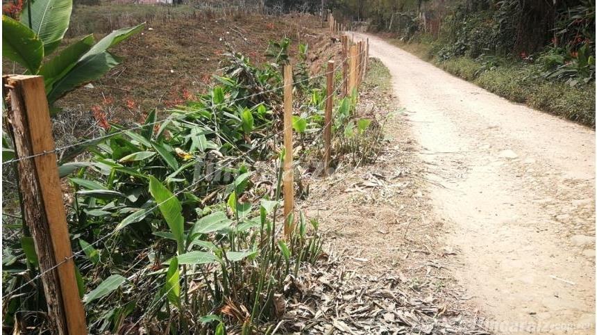 Finca en Venta - Mynd 6