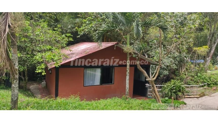 Finca en Venta - Visning 3