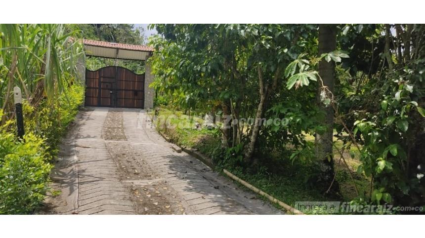 Finca en Venta - Visning 4