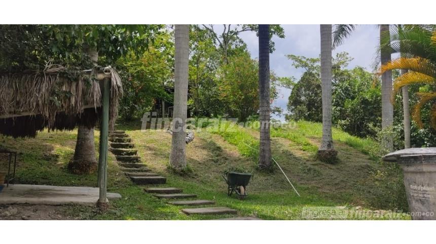 Finca en Venta - Visning 5