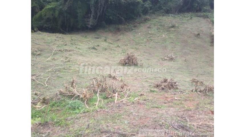 Lote en Venta - Prikaz 3