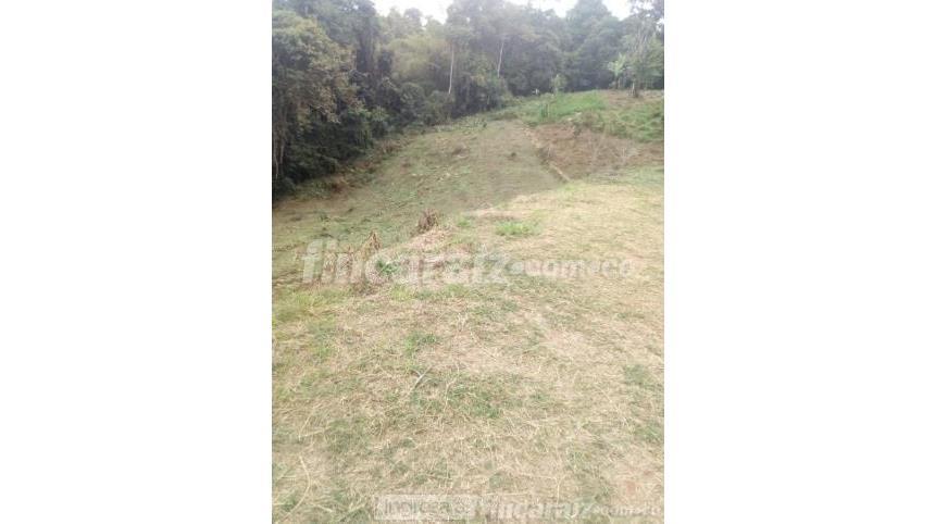 Lote en Venta - Prikaz 5