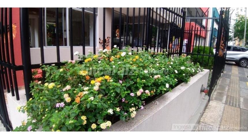 Piso – Cali, Zona Parque del Amor, Comuna 2 - Más