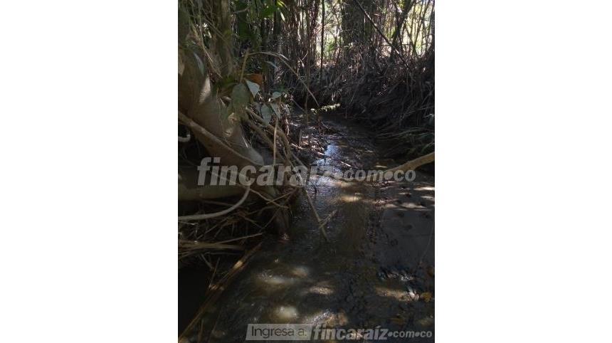 Finca en Venta – pohled 3