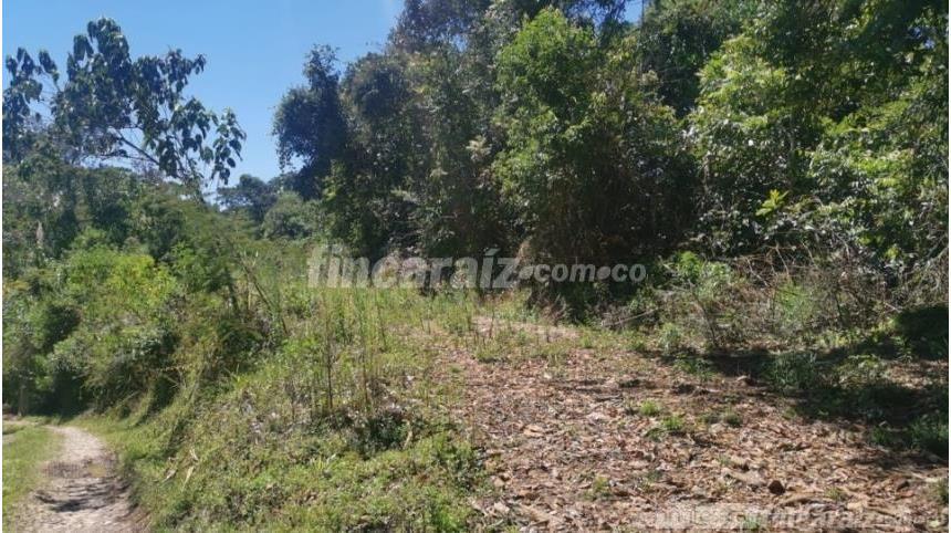 Finca en Venta – pohled 4