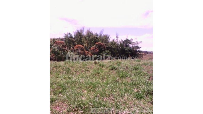 Finca en Venta – pohled 5