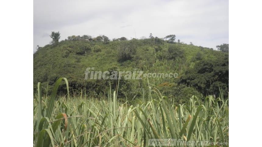Finca en Venta – pohled 6