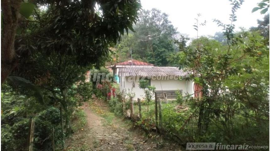 Finca en Venta – pohled 2